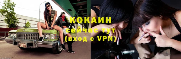 apvp Невьянск
