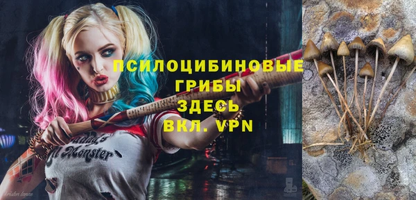 спиды Ростов