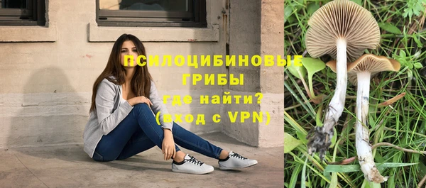 прущие крисы Саяногорск