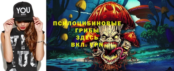 молекула духа Сафоново